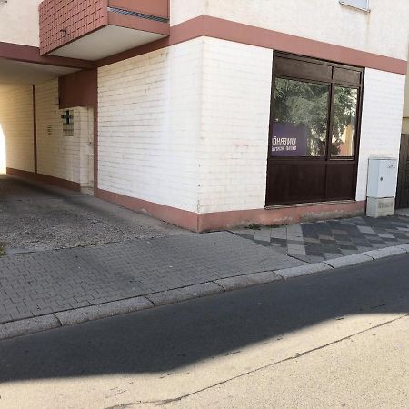 Monteurwohnung Im Zentrum Worms Exterior foto